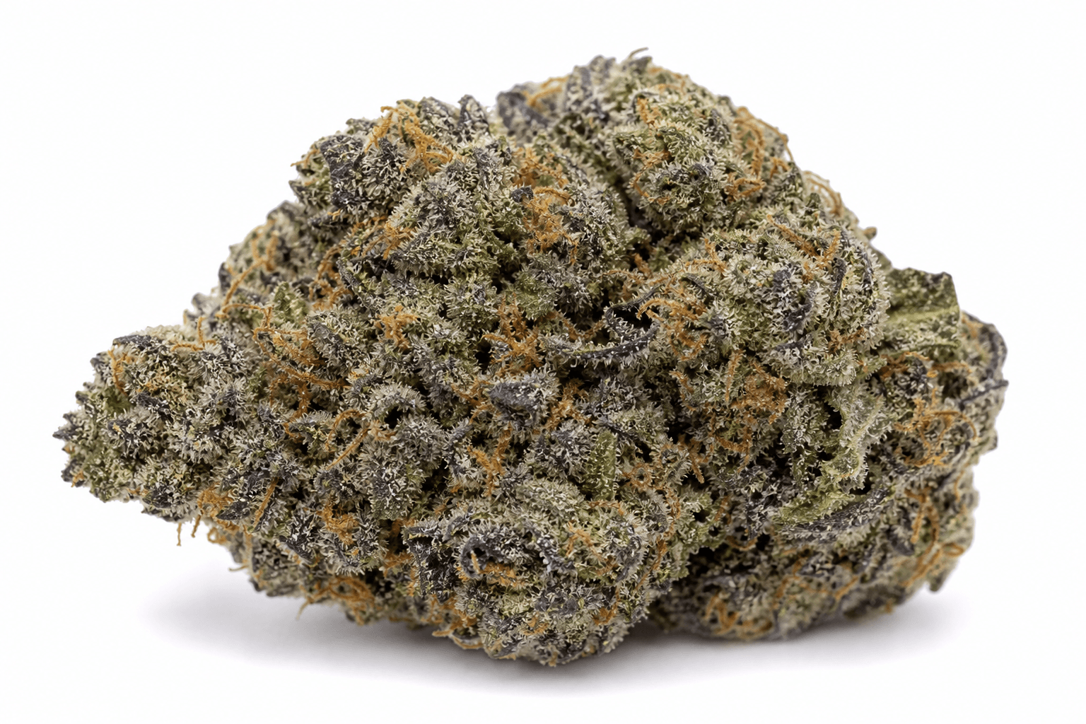 Blue Guava Gelato